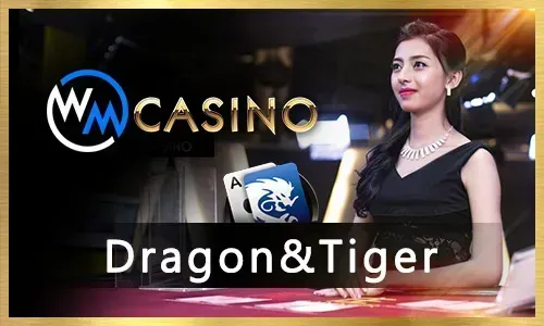 spinplus live dealer games